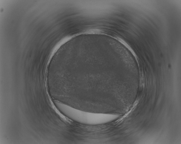 X0000062631437200601111048