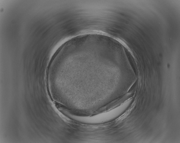 X0000062631438200601111048