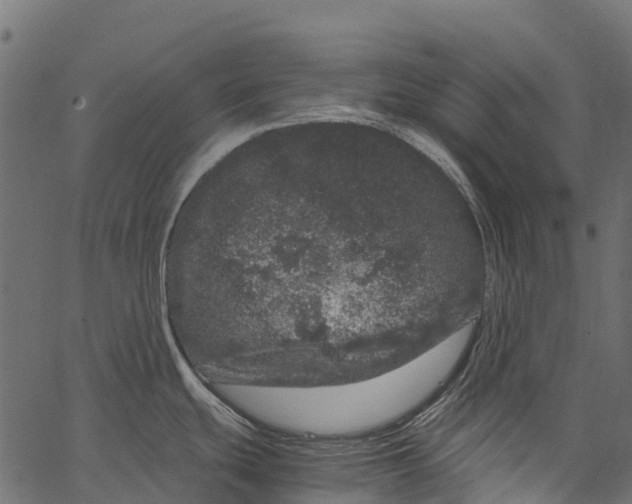 X0000062631439200601111048