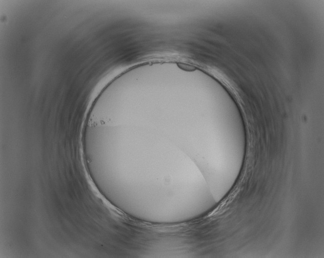 X0000062631440200601111049