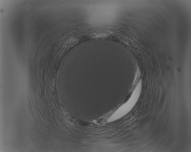 X0000062631441200601111048