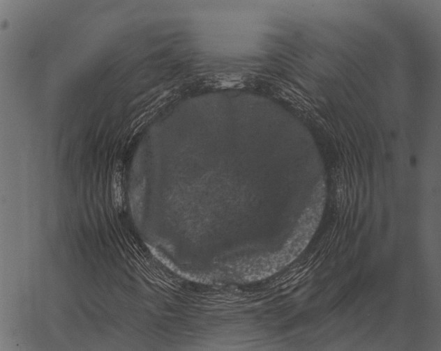 X0000062631442200601111048