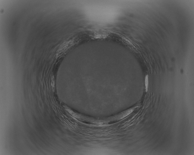 X0000062631443200601111048