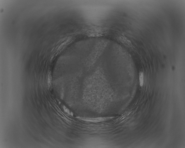 X0000062631444200601111048