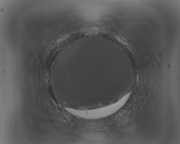 X0000062631445200601111048