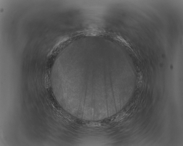 X0000062631446200601111048