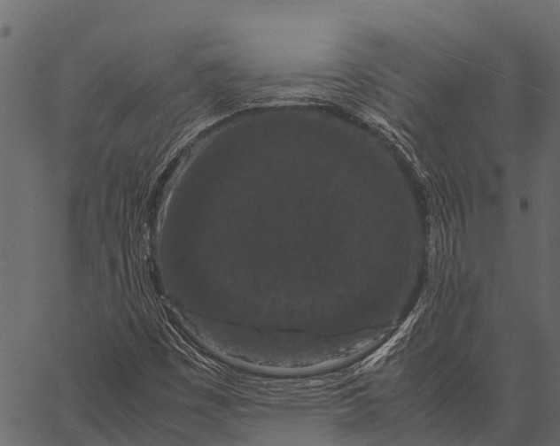 X0000062631449200601111048