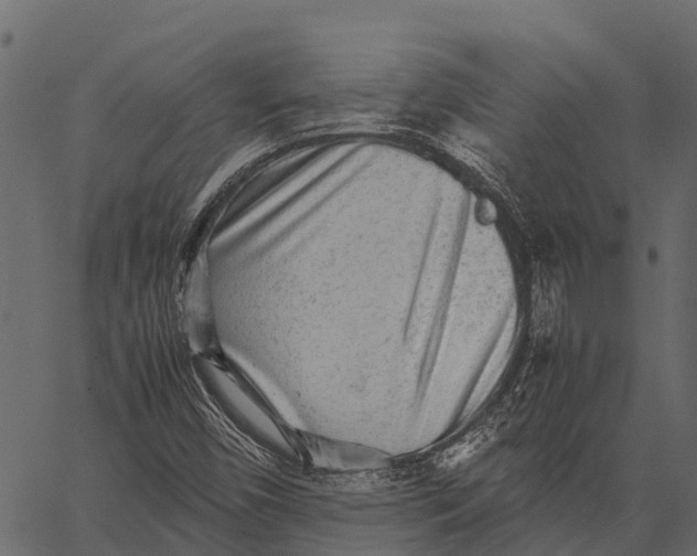 X0000062631450200601111048