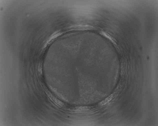 X0000062631451200601111048