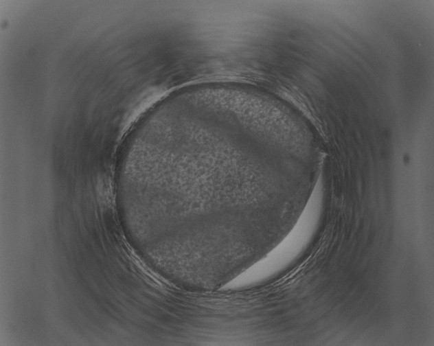 X0000062631452200601111048