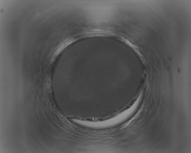 X0000062631453200601111048