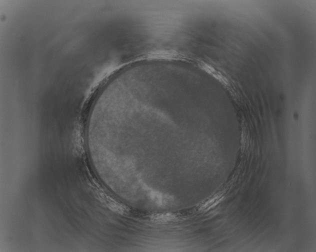 X0000062631454200601111047