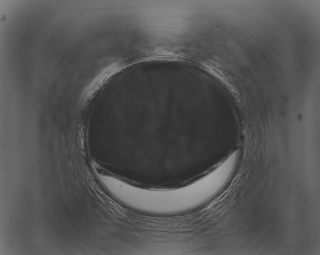 X0000062631455200601111047