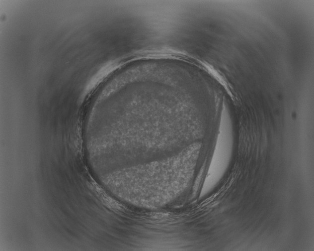 X0000062631456200601111047