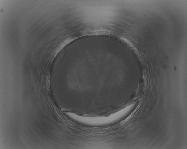 X0000062631457200601111047