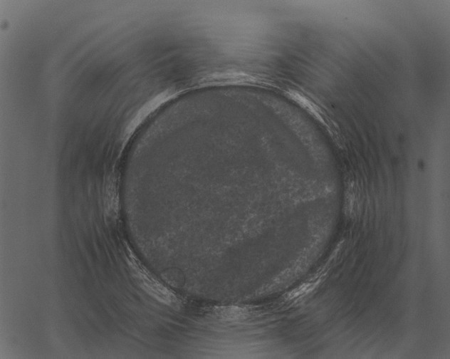 X0000062631458200601111047