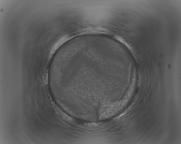 X0000062631459200601111047