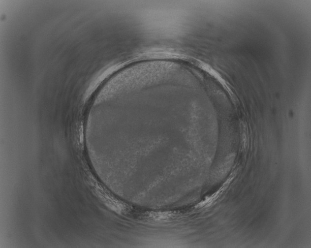 X0000062631461200601111047