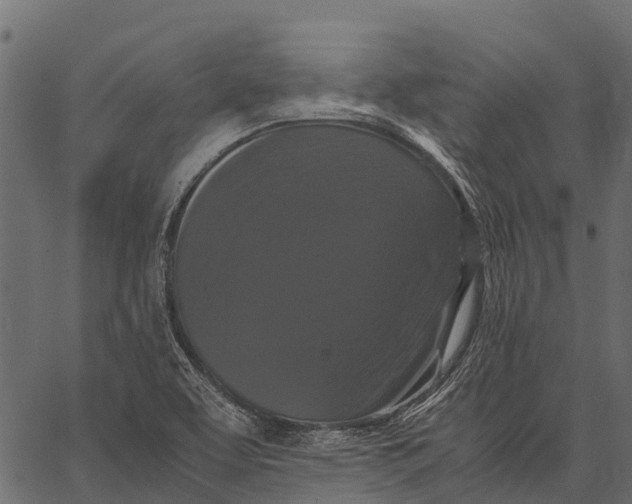 X0000062631463200601111047