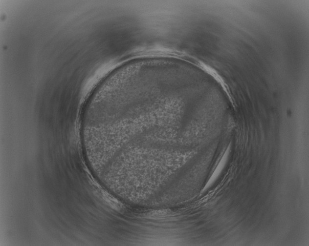 X0000062631464200601111047