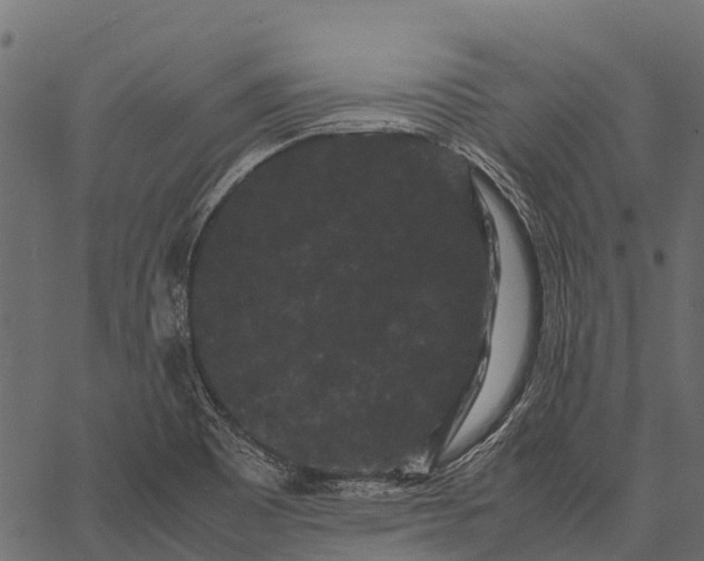 X0000062631465200601111047