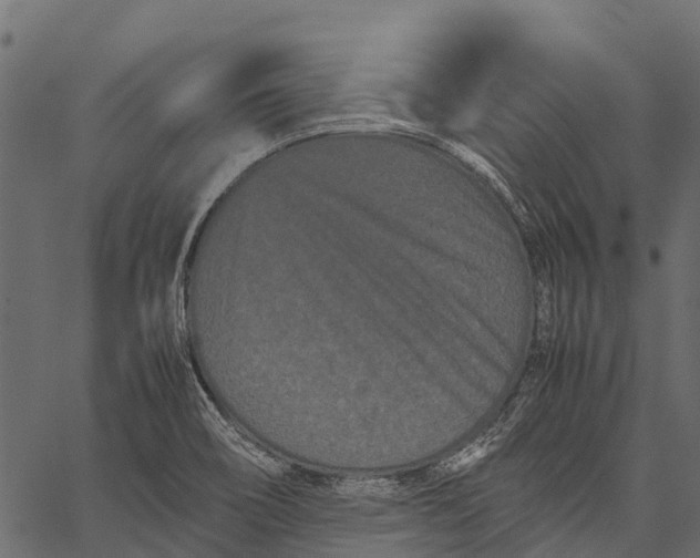 X0000062631466200601111047