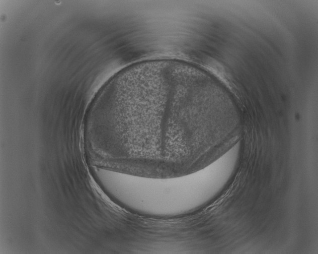 X0000062631468200601111047