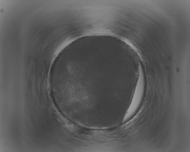 X0000062631469200601111047