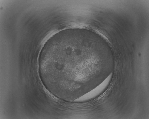 X0000062631471200601111047