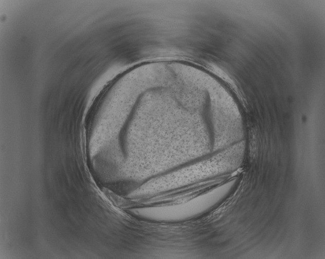 X0000062631472200601111047