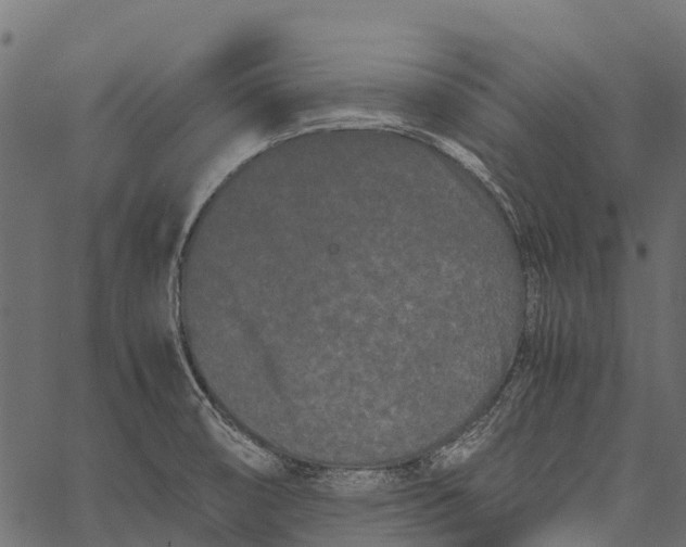 X0000062631474200601111047