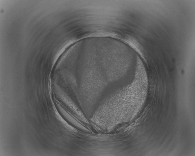 X0000062631476200601111047