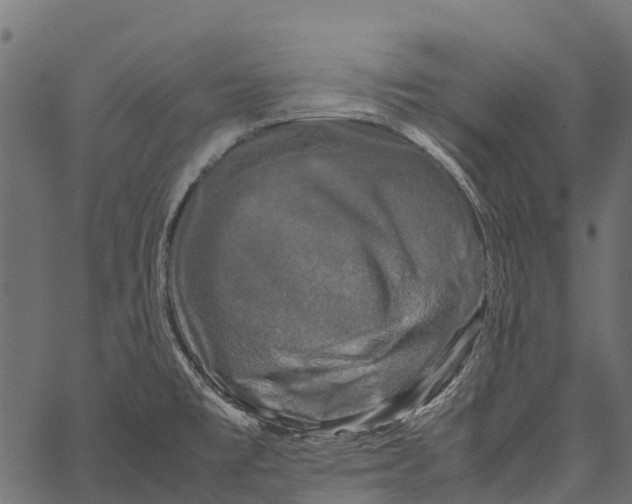 X0000062631477200601111047