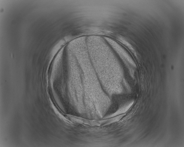 X0000062631479200601111047