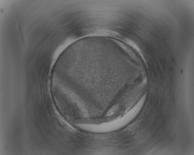 X0000062631480200601111047