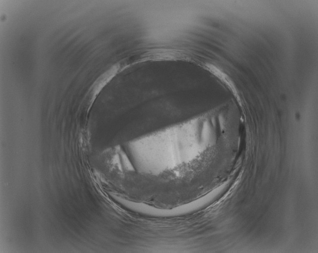 X0000062631481200601111047