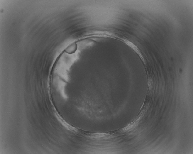 X0000062631482200601111047