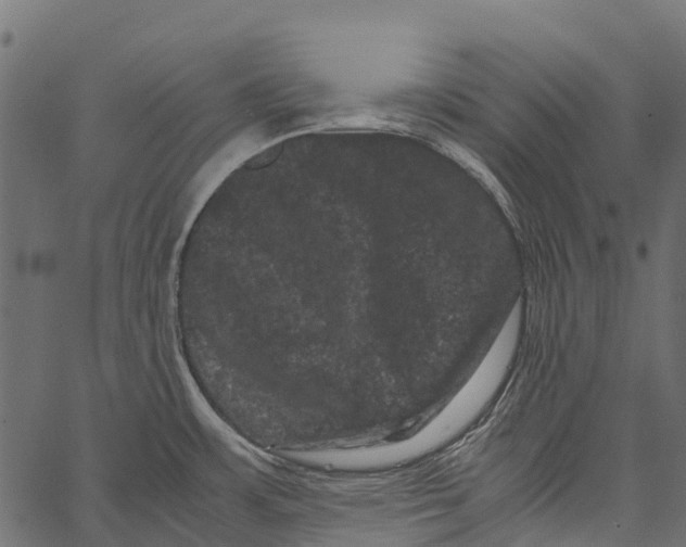 X0000062631483200601111047