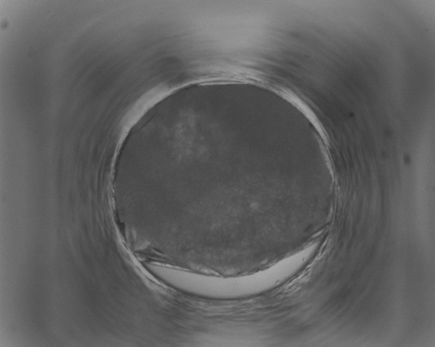 X0000062631485200601111047