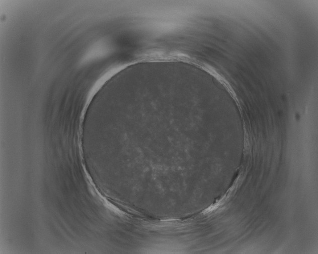 X0000062631486200601111047