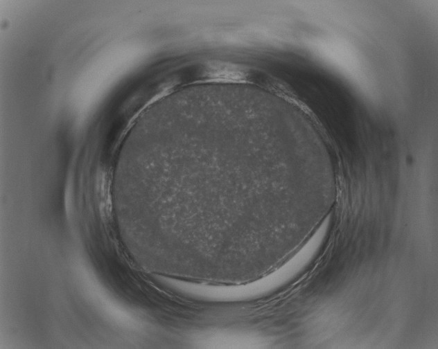 X0000062631487200601111047