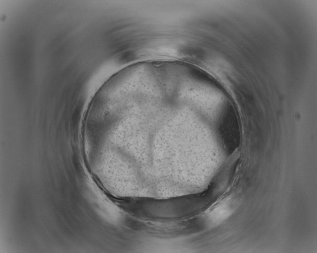 X0000062631488200601111047