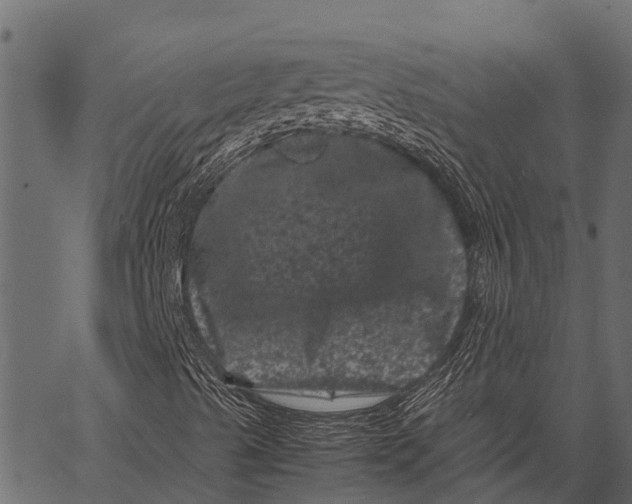 X0000062631489200601111046