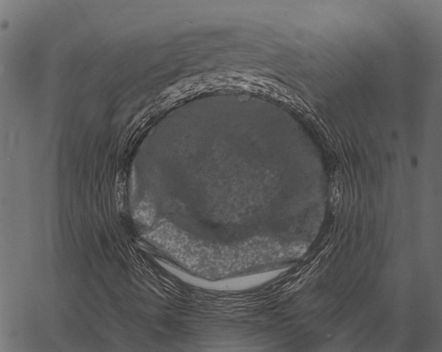 X0000062631490200601111046