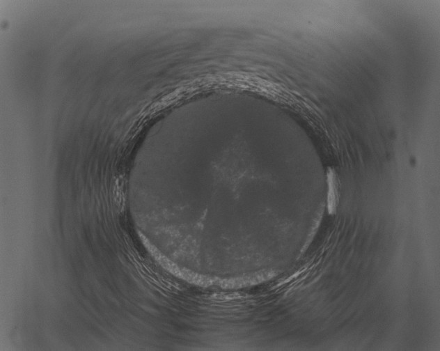 X0000062631491200601111046