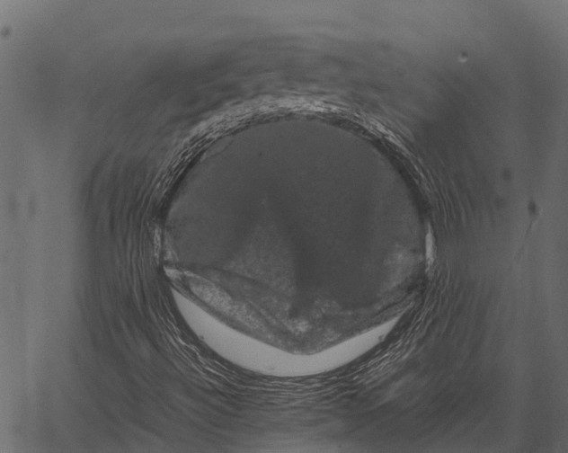 X0000062631492200601111046