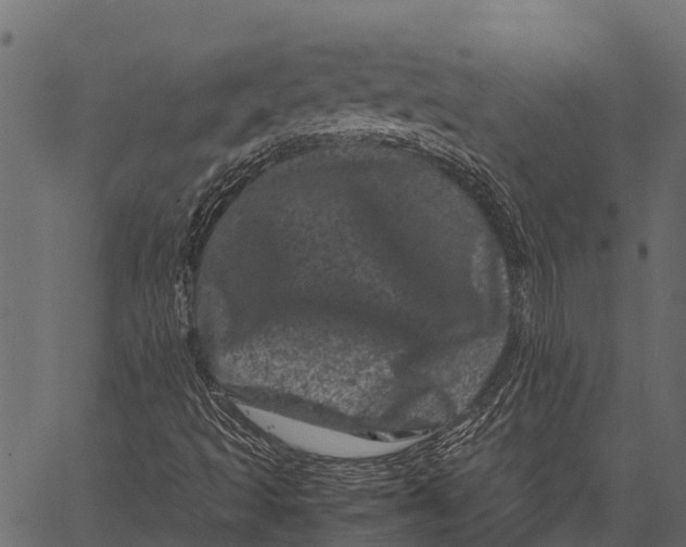 X0000062631493200601111046