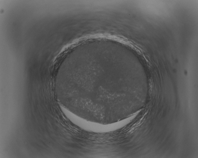 X0000062631494200601111046