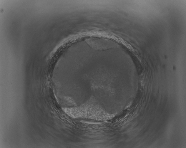 X0000062631495200601111046