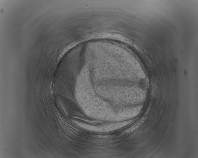 X0000062631497200601111046